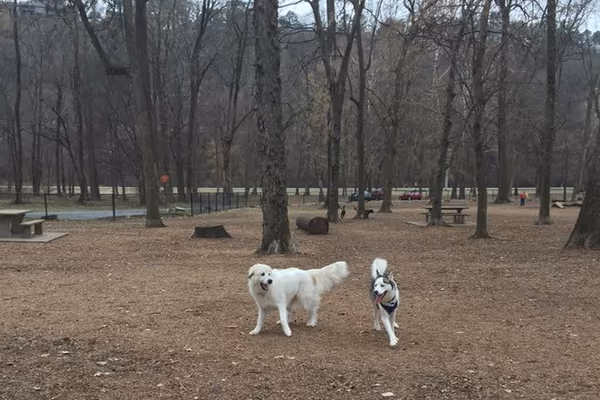 Paws Park at Murray Park photo 1